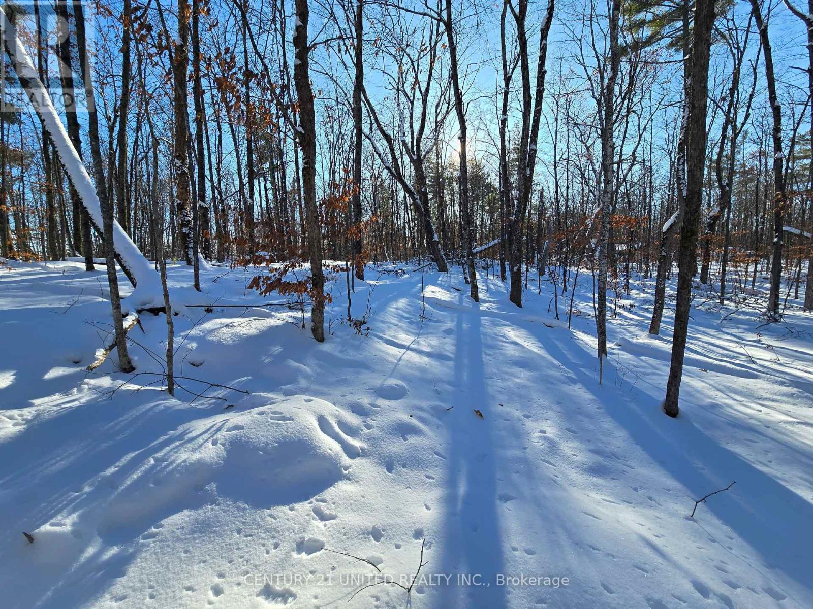 81 Vansickle Trail, Havelock-Belmont-Methuen, ON