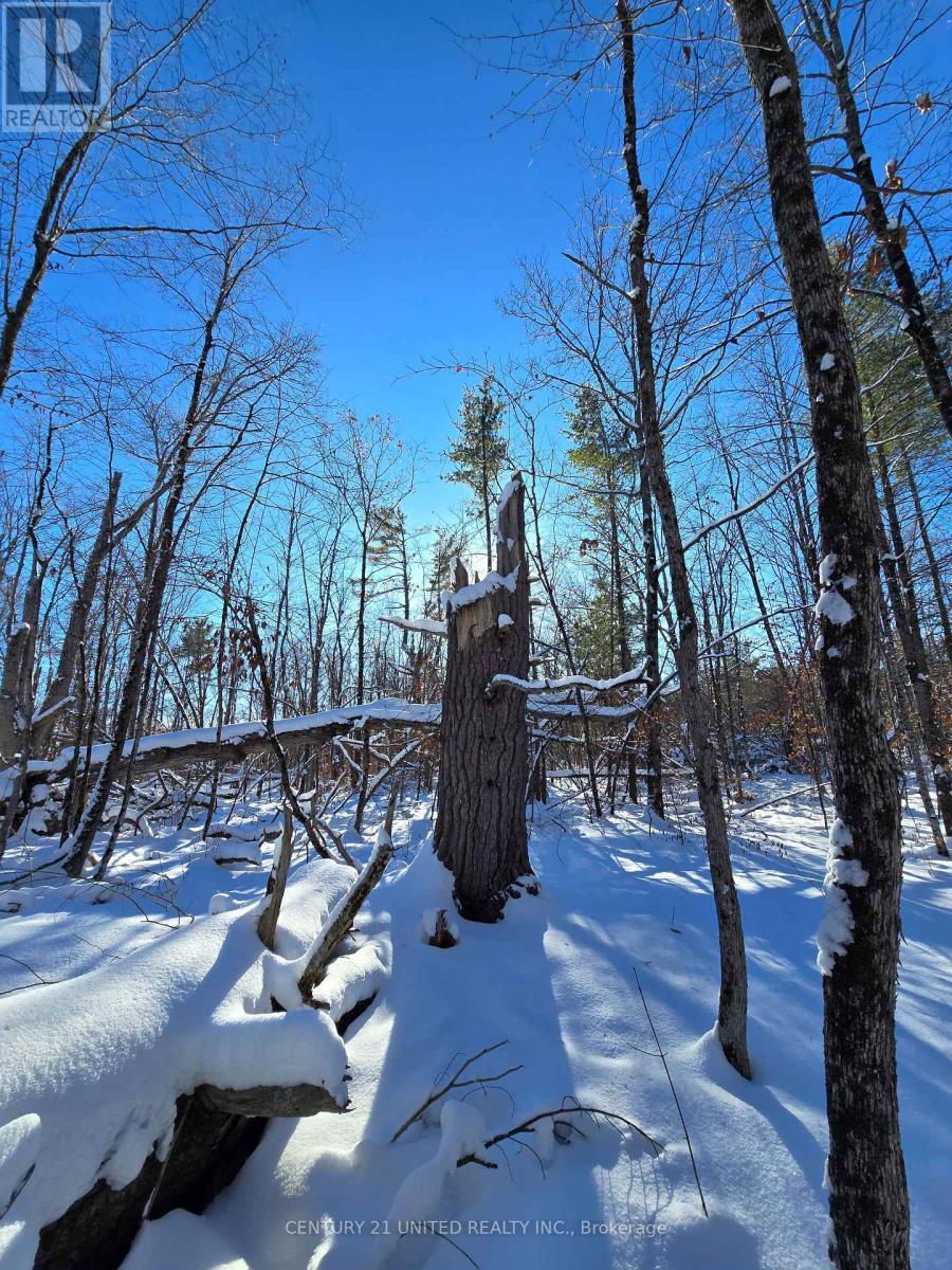 81 Vansickle Trail, Havelock-Belmont-Methuen, ON