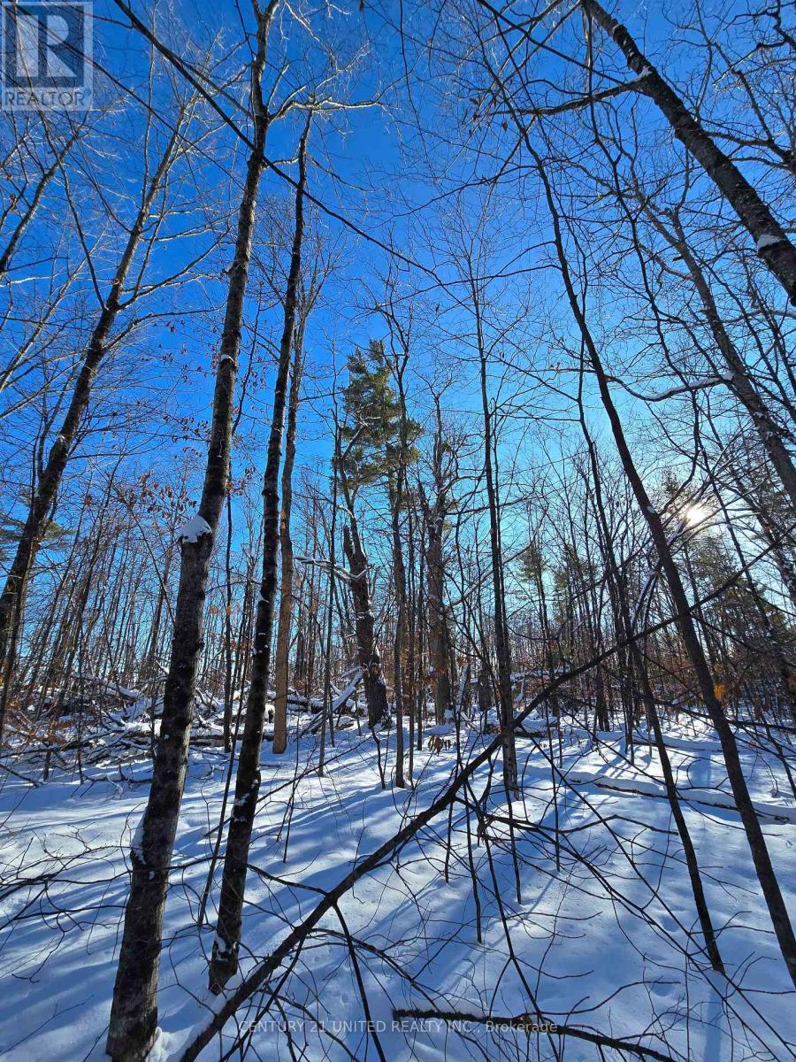 81 Vansickle Trail, Havelock-Belmont-Methuen, ON