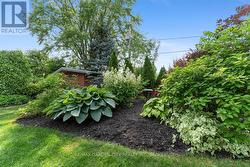 in the back is a potting shed/playhouse or studio -