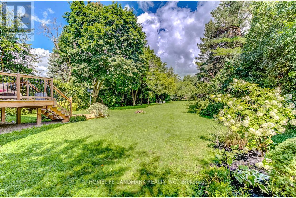 156 Duncan Road, Richmond Hill, ON - Outdoor