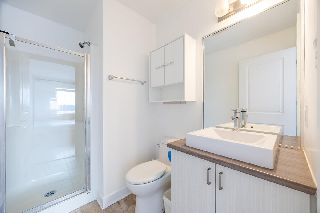 Salle de bains - 305-7020 Rue Allard, Montréal (Lasalle), QC - Indoor Photo Showing Bathroom