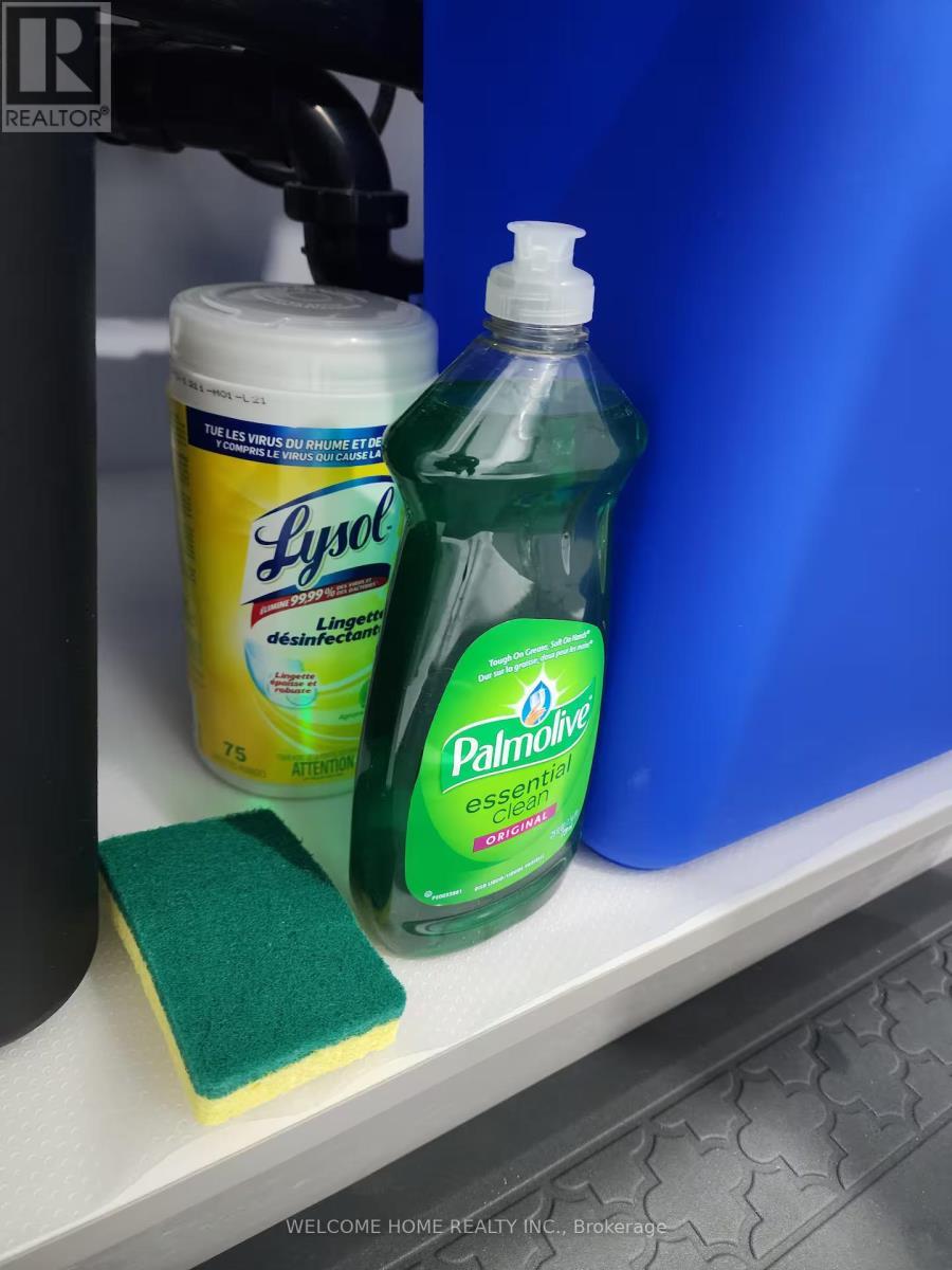 Basement - 7 Leo Austin Road, Brampton, ON - Indoor