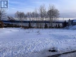 36 Maple Street Springdale, NL A0J 1T0