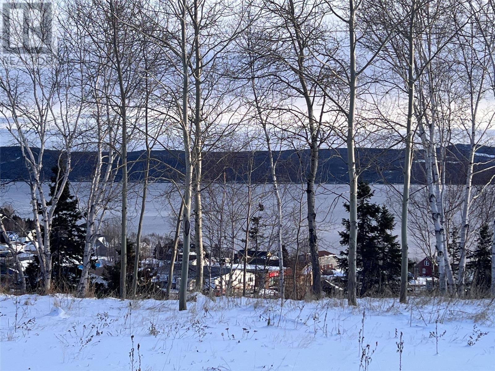 36 Maple Street, Springdale, NL