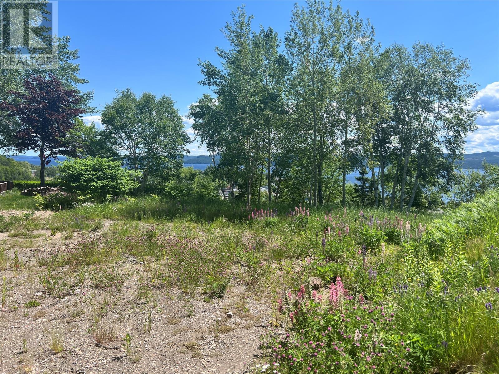 36 Maple Street, Springdale, NL