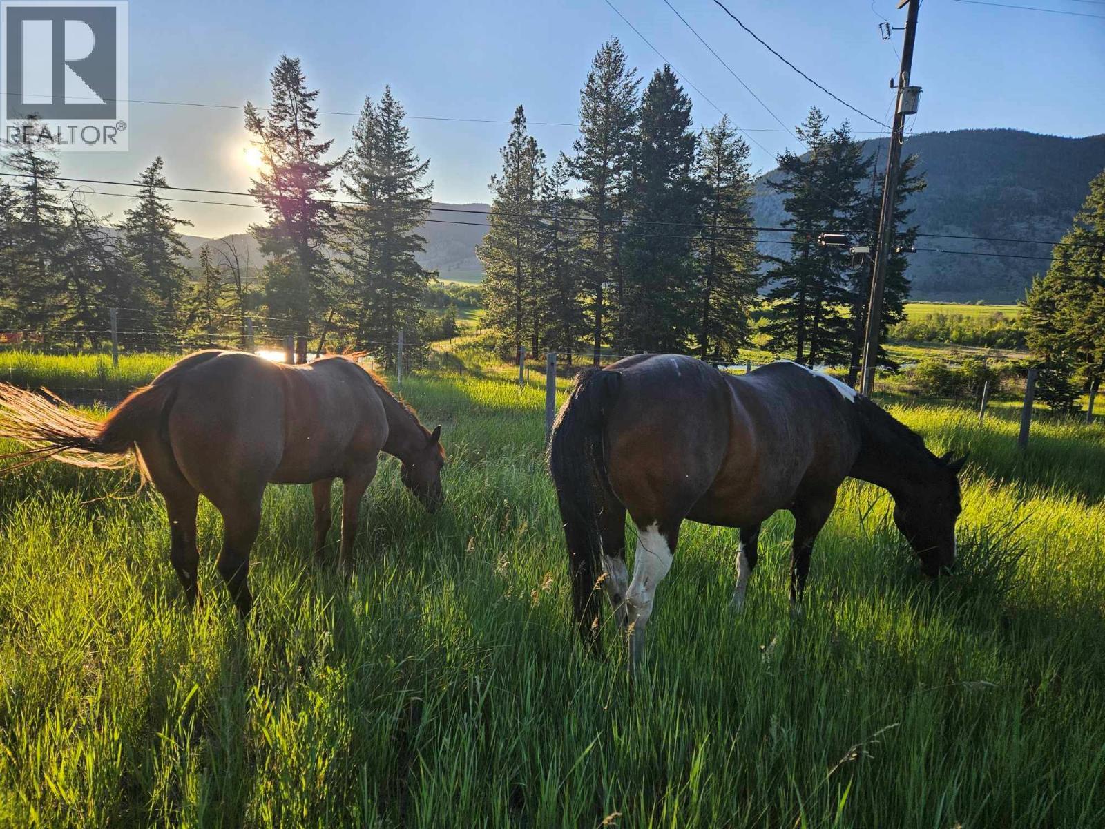 6668 Kamloops Vernon (Hwy 97) Highway, Westwold, BC