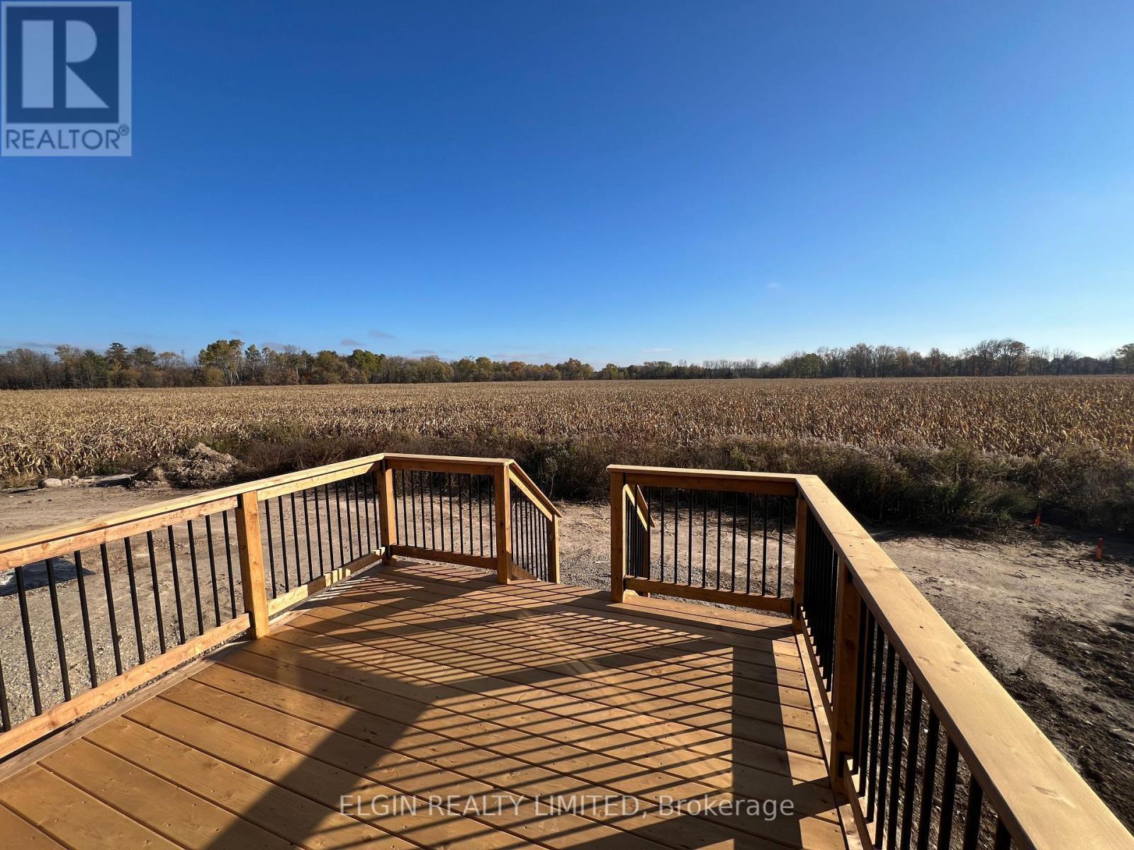 75 Braun Avenue, Tillsonburg, ON - Outdoor With Deck Patio Veranda