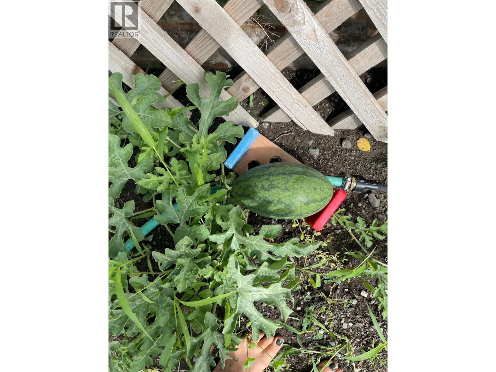 602 Brink Street, Ashcroft, BC -