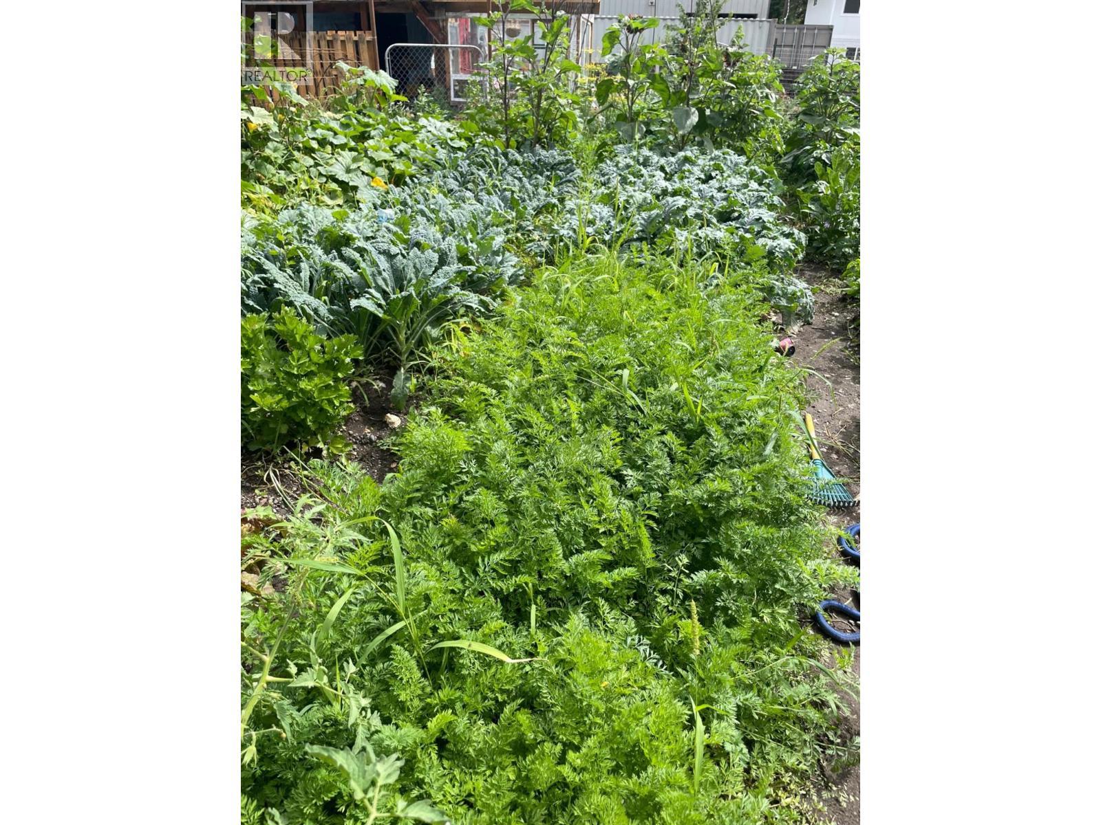 602 Brink Street, Ashcroft, BC - Outdoor