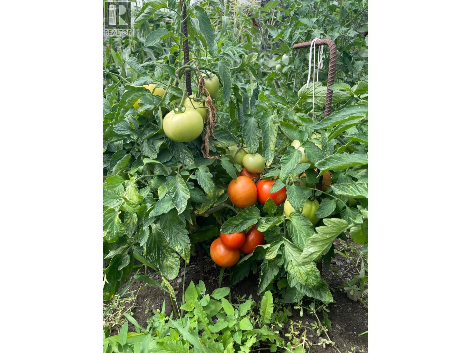 602 Brink Street, Ashcroft, BC - Outdoor