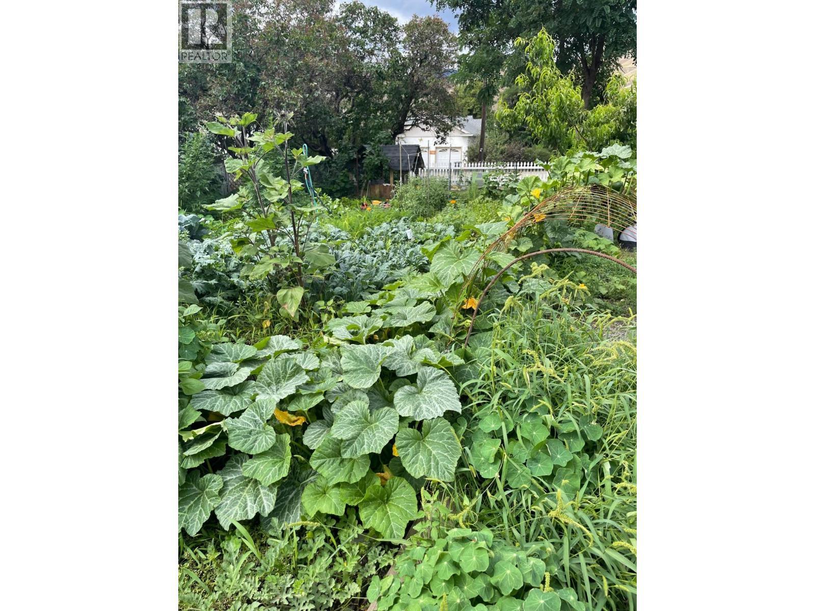 602 Brink Street, Ashcroft, BC - Outdoor