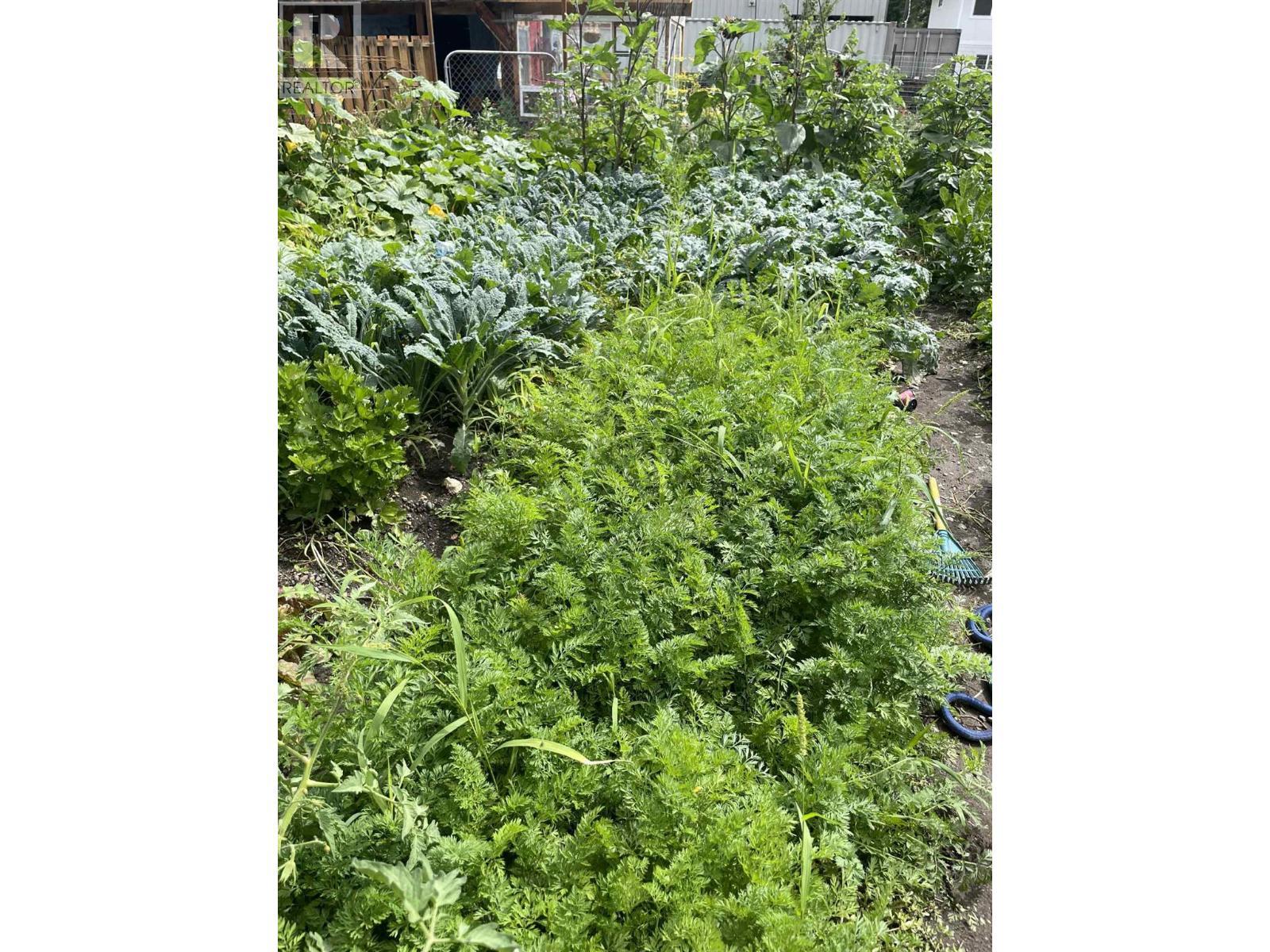 602 Brink Street, Ashcroft, BC - Outdoor