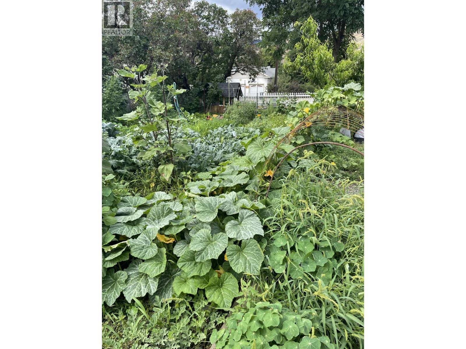 602 Brink Street, Ashcroft, BC - Outdoor