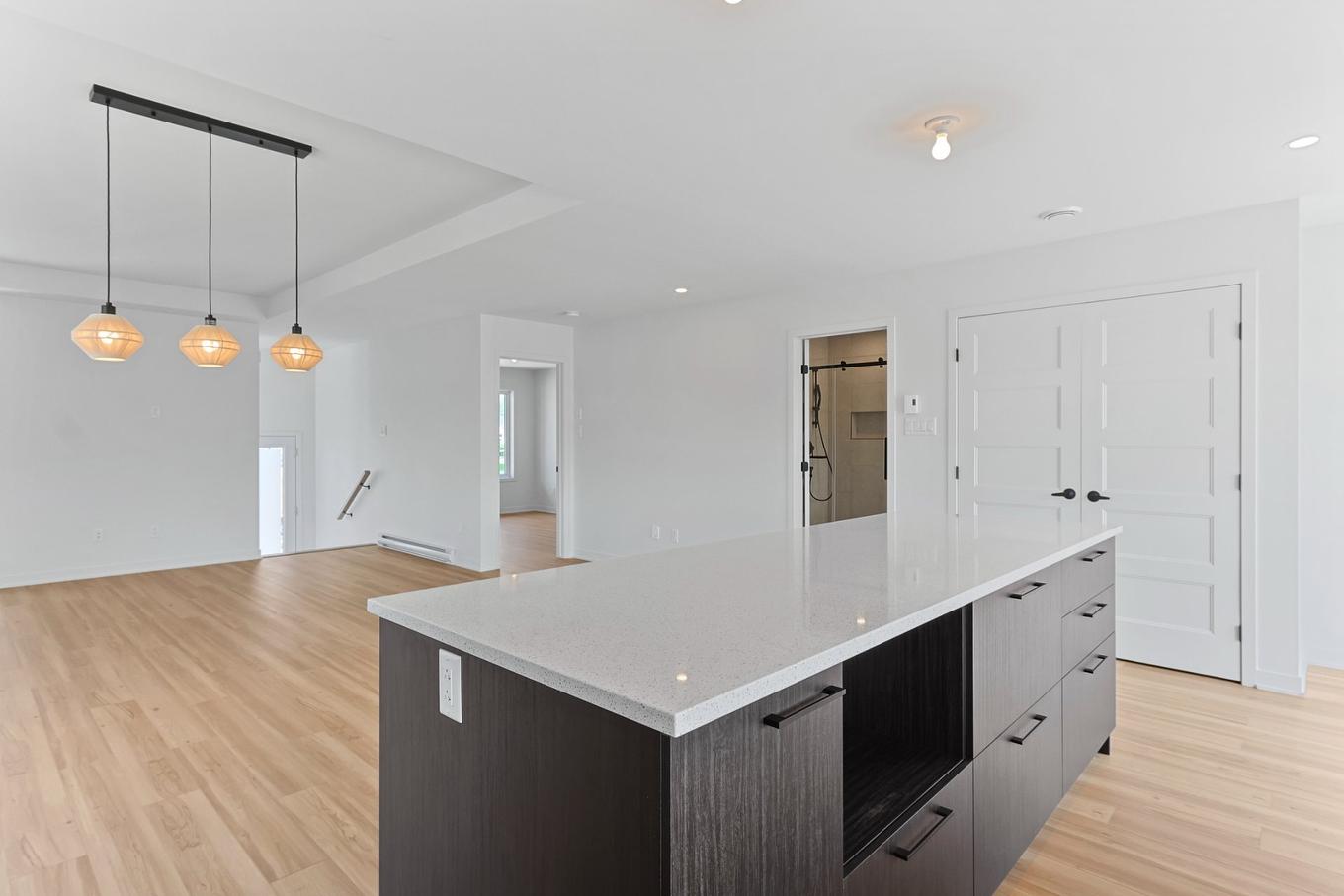 Kitchen - 162 Rue Du Quai, Saint-Louis-De-Gonzague, QC - Indoor