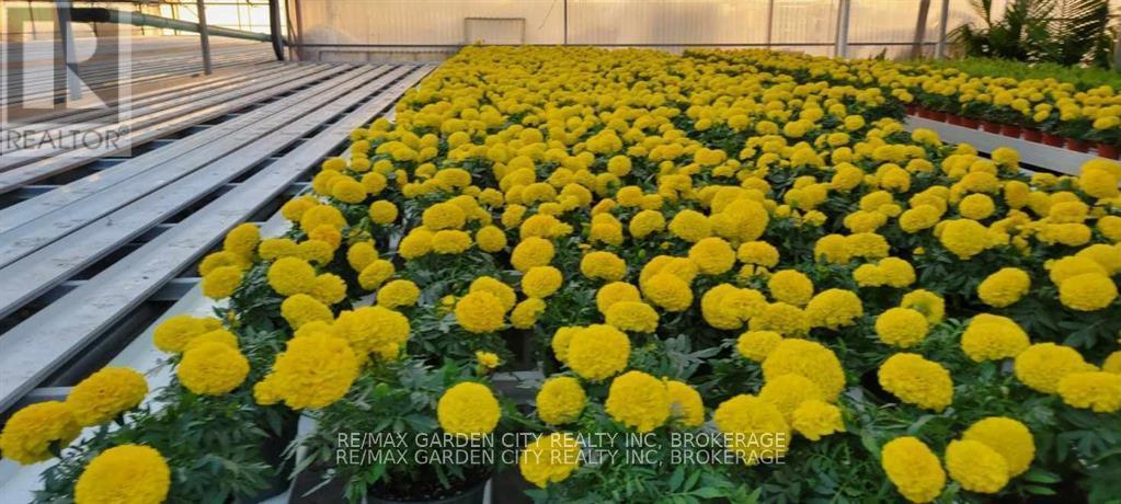 228-234 Read Road, St. Catharines (Bunting/Linwell), ON