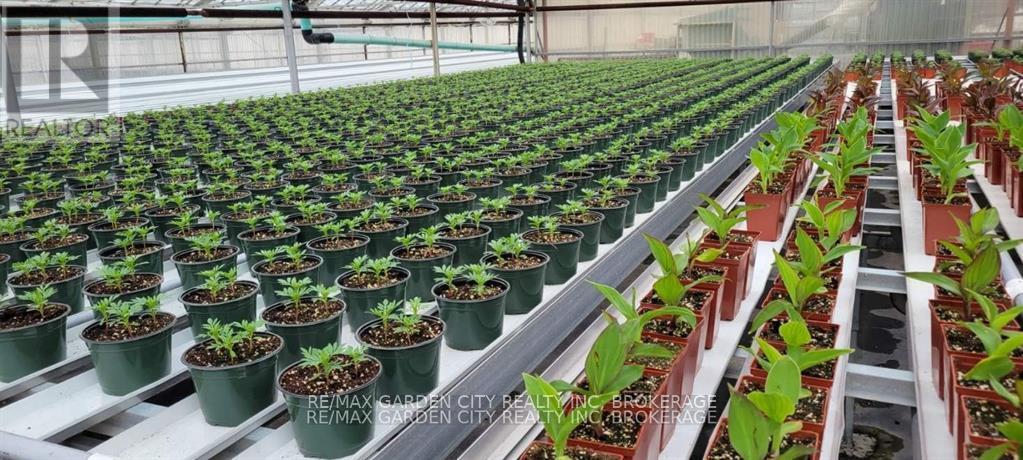 228-234 Read Road, St. Catharines (Bunting/Linwell), ON