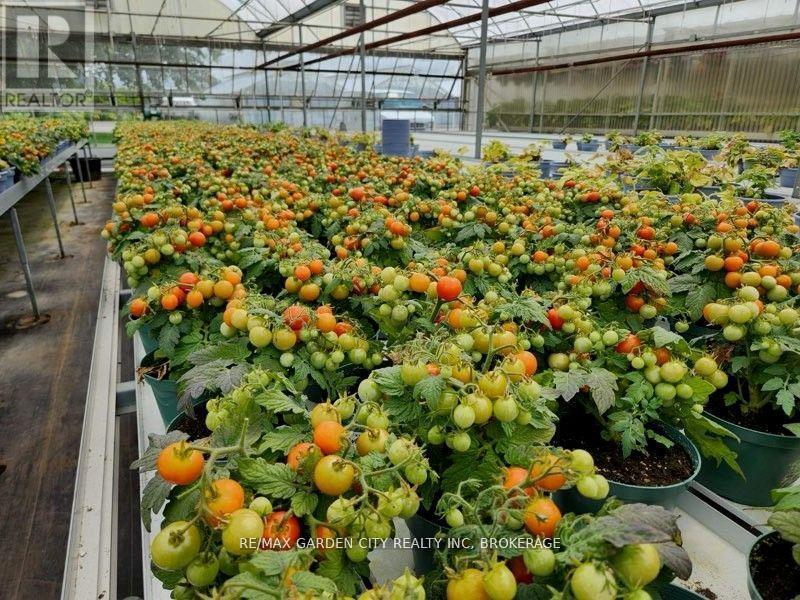 228-234 Read Road, St. Catharines (Bunting/Linwell), ON