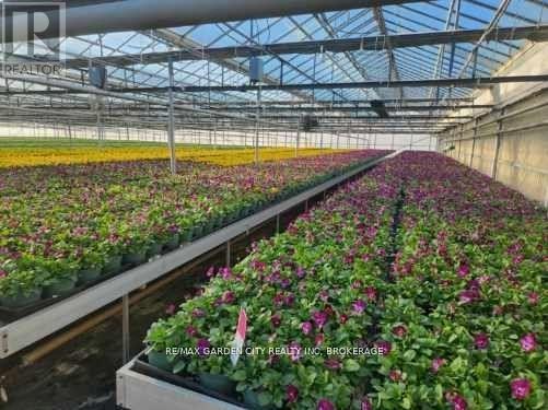 228-234 Read Road, St. Catharines (Bunting/Linwell), ON