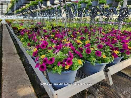 228-234 Read Road, St. Catharines (Bunting/Linwell), ON