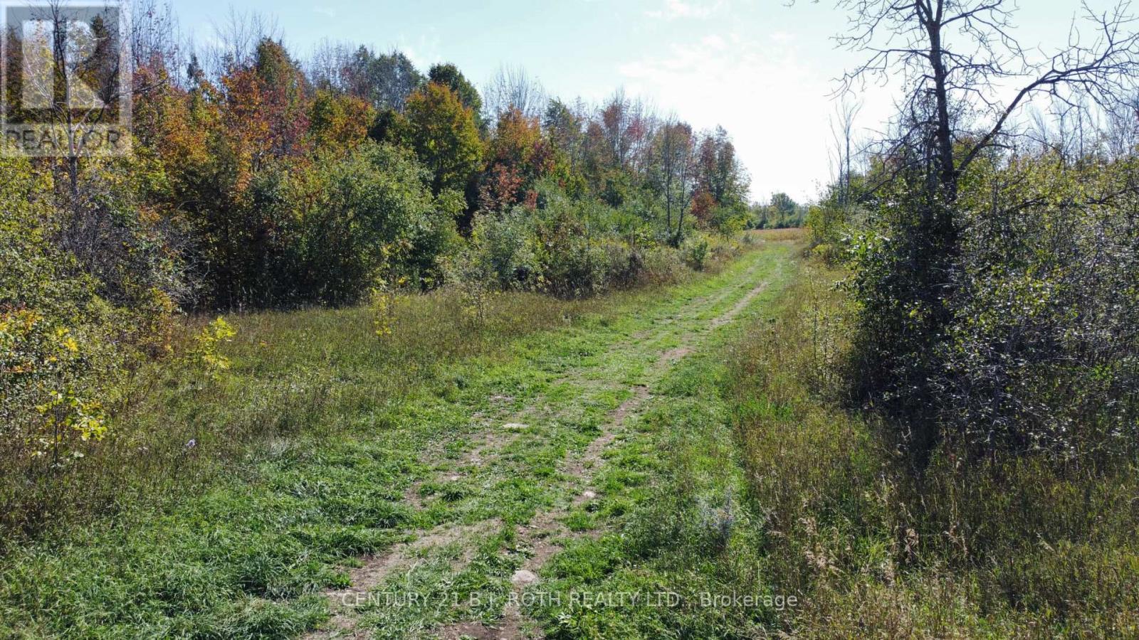 Direct access to the field from Con. Rd. B. - 1273 Ramara Rd 47 Road, Ramara, ON