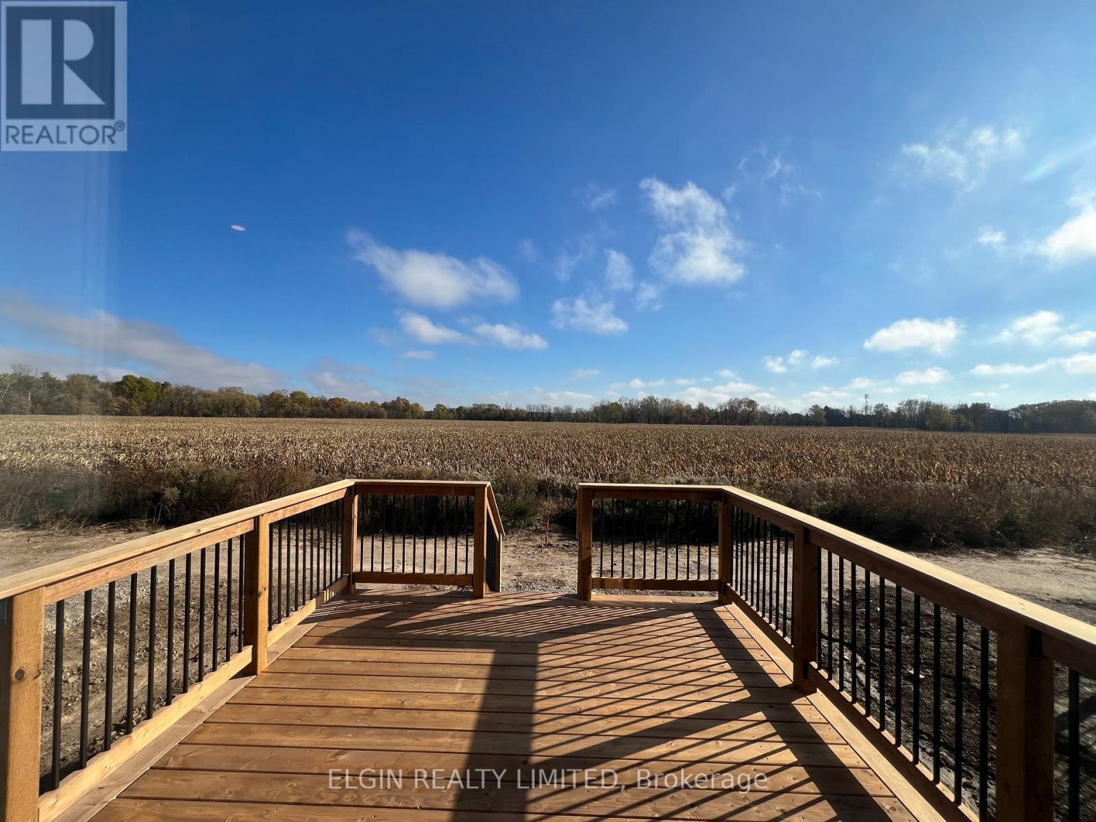 73 Braun Avenue, Tillsonburg, ON - Outdoor