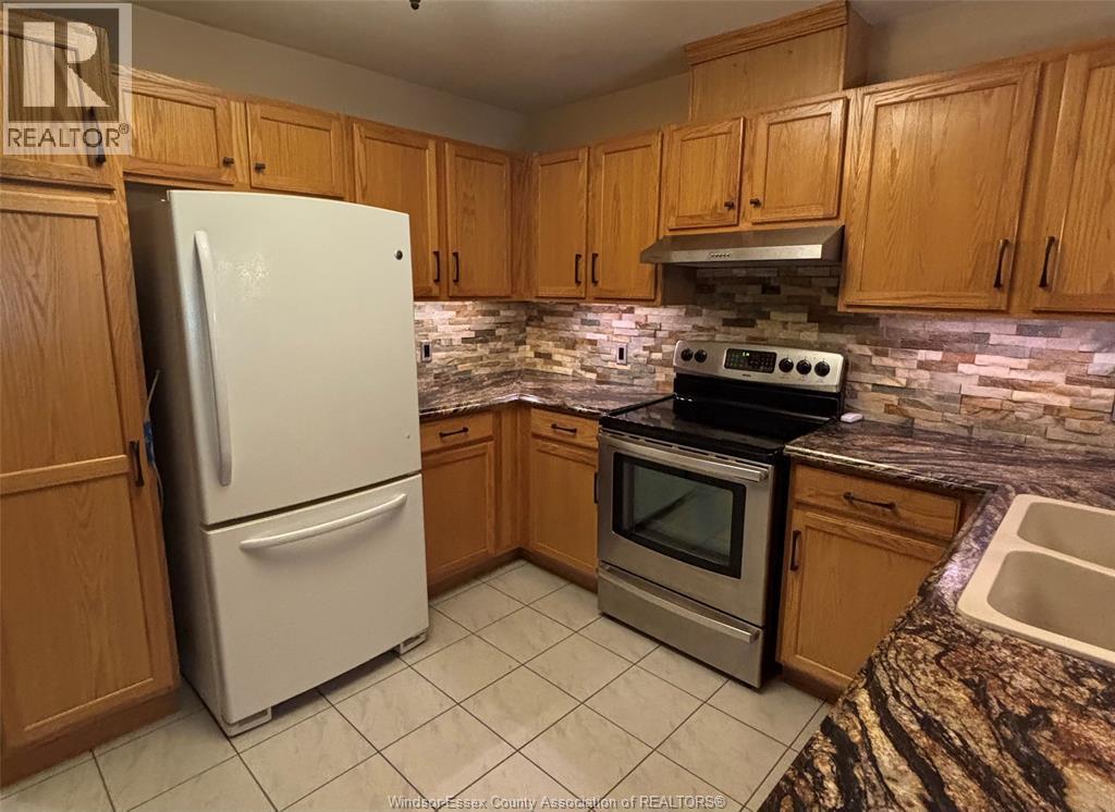 554 Rodfam Drive, Windsor, ON - Indoor Photo Showing Kitchen With Double Sink