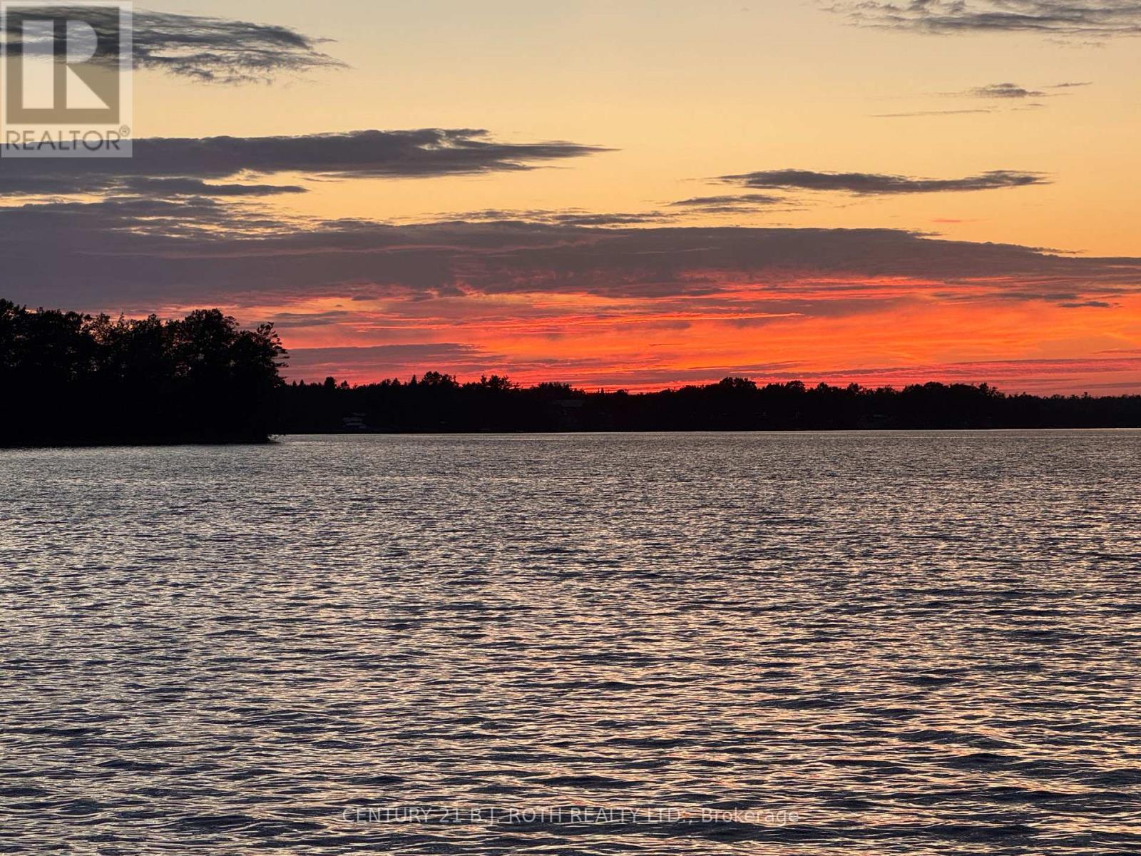 239 Avery Point Road, Kawartha Lakes, ON - Outdoor With Body Of Water With View