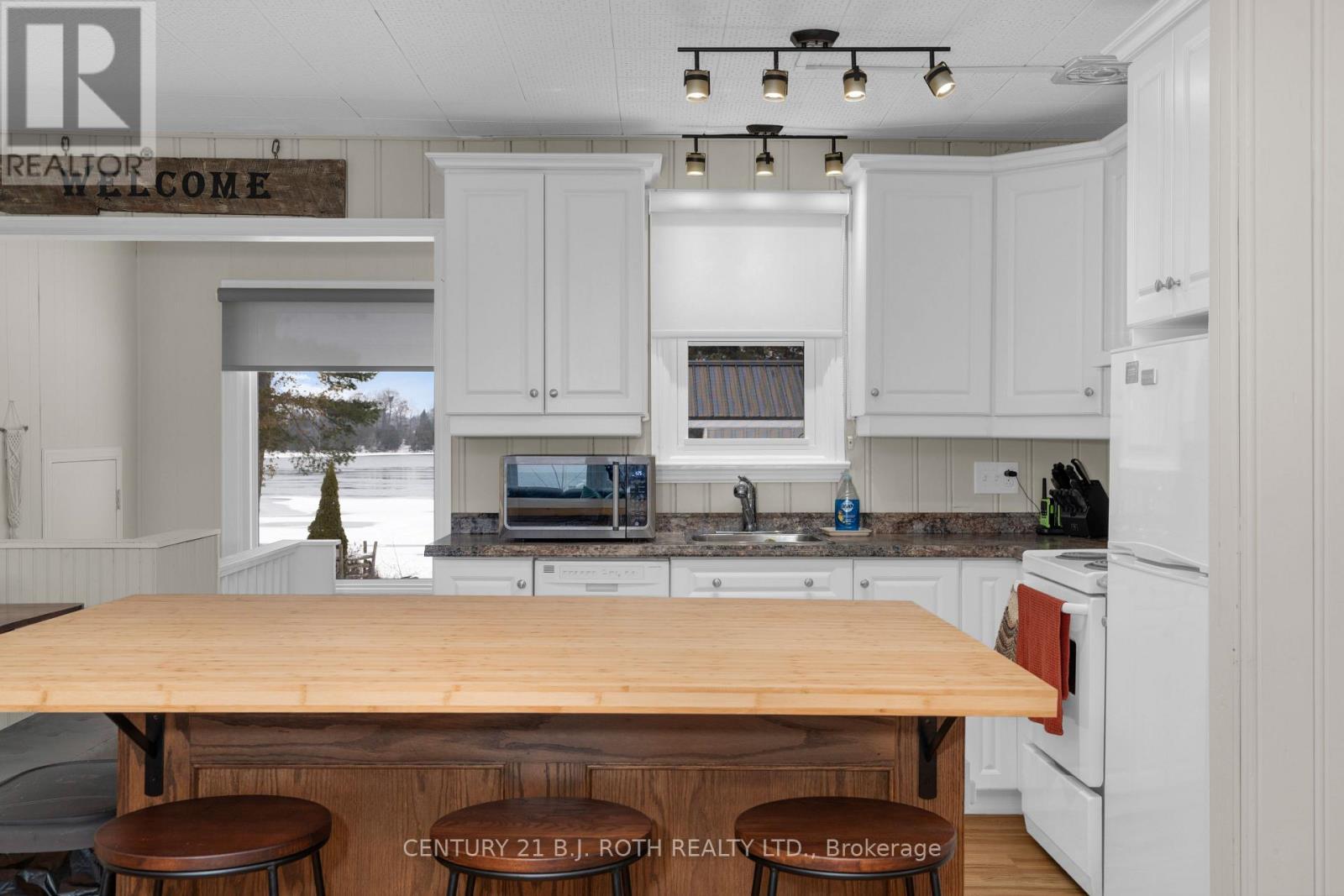 239 Avery Point Road, Kawartha Lakes, ON - Indoor Photo Showing Kitchen