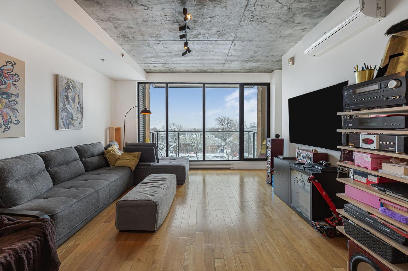 Living room - 538-5661 Av. De Chateaubriand, Montréal (Rosemont/La Petite-Patrie), QC - Indoor Photo Showing Living Room