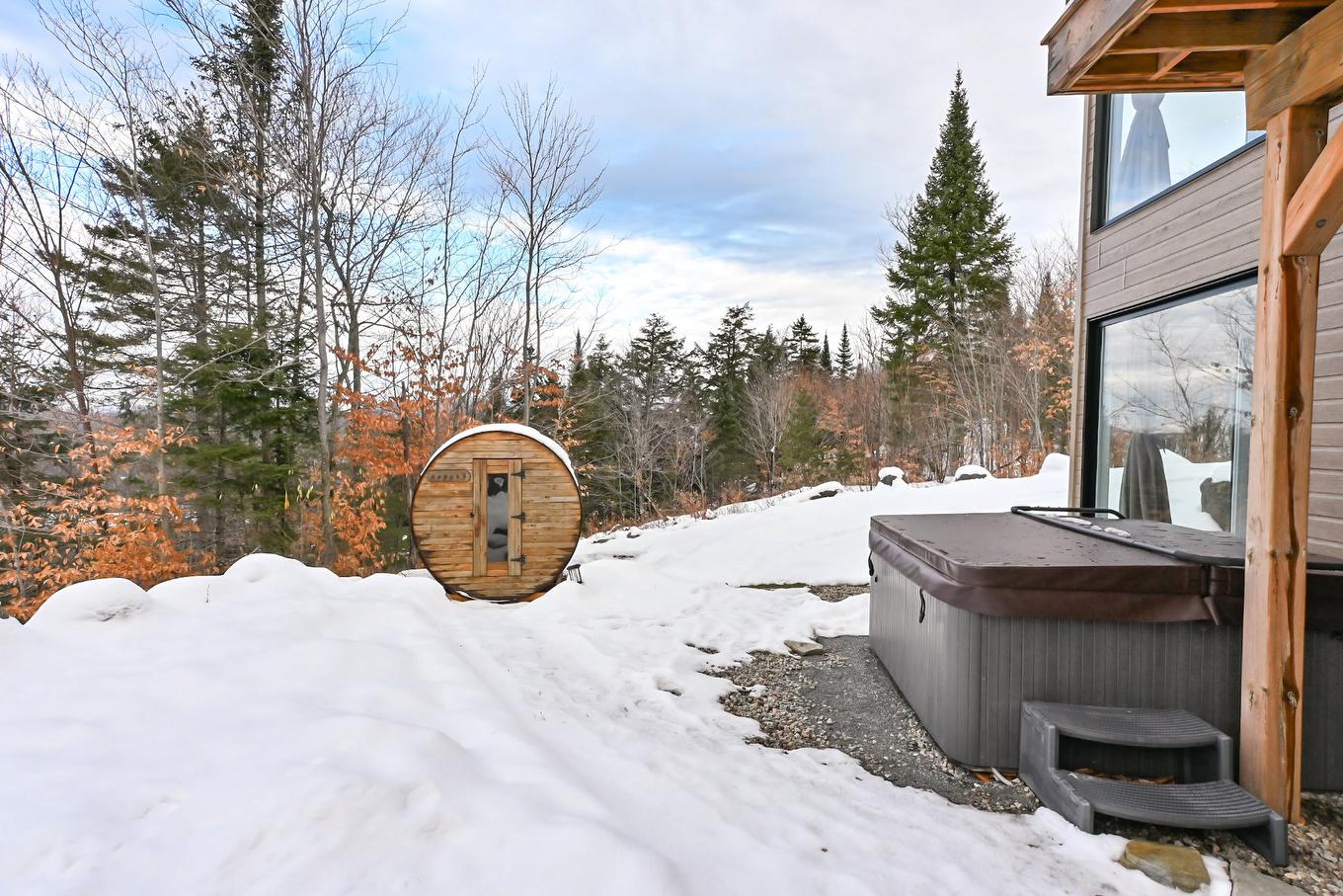 Backyard - 165 Rue Du Denali, La Conception, QC - Outdoor