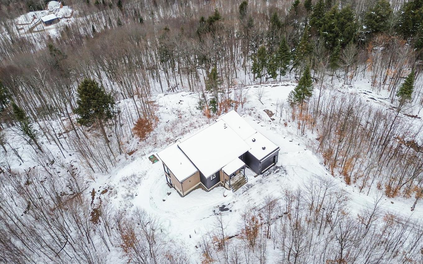 Overall view - 165 Rue Du Denali, La Conception, QC - Outdoor