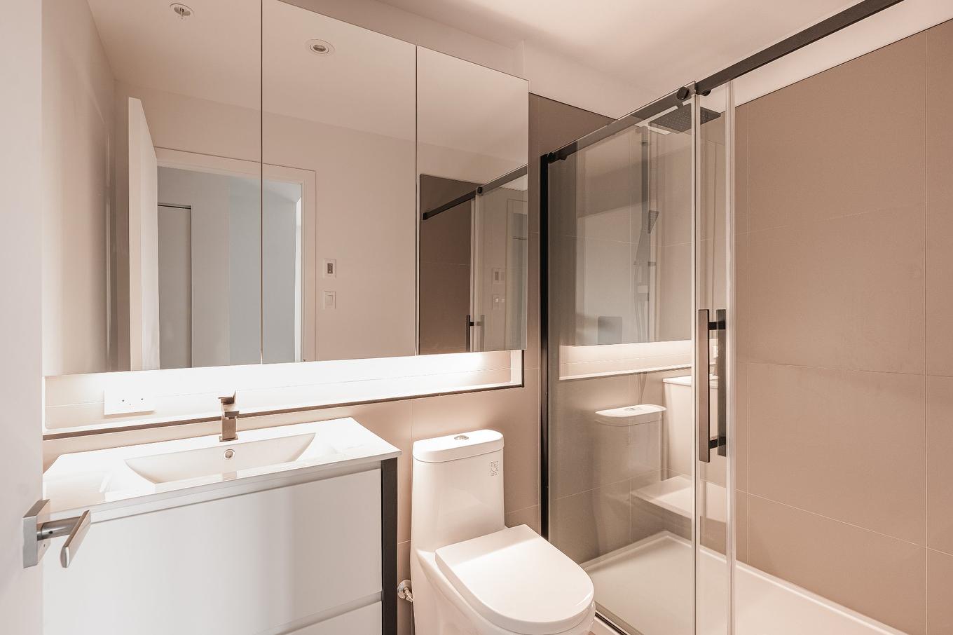 Bathroom - 801-1160 Rue Mackay, Montréal (Ville-Marie), QC - Indoor Photo Showing Bathroom