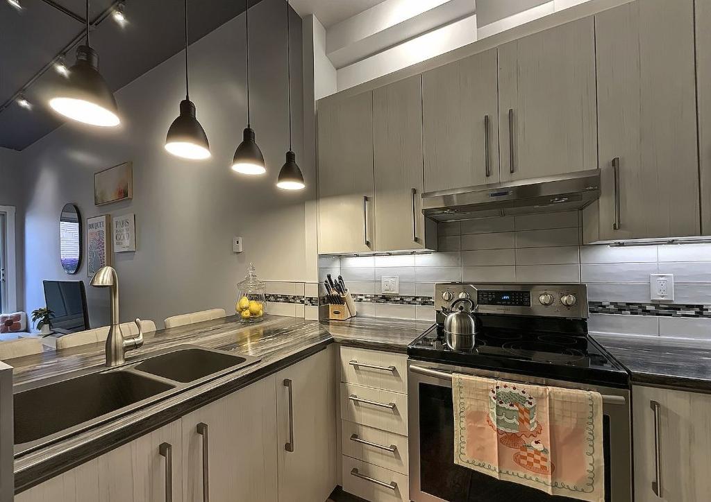 Kitchen - 200-5099 Rue Jeanne-Mance, Montréal (Le Plateau-Mont-Royal), QC - Indoor Photo Showing Kitchen With Double Sink