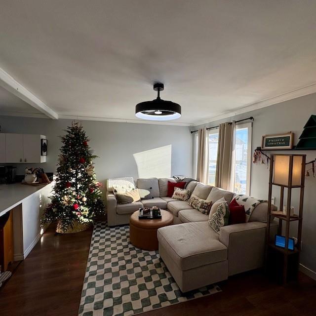 210 Third Avenue Sw, Geraldton, Greenstone, ON - Indoor Photo Showing Living Room
