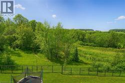 View of yard with a rural view -