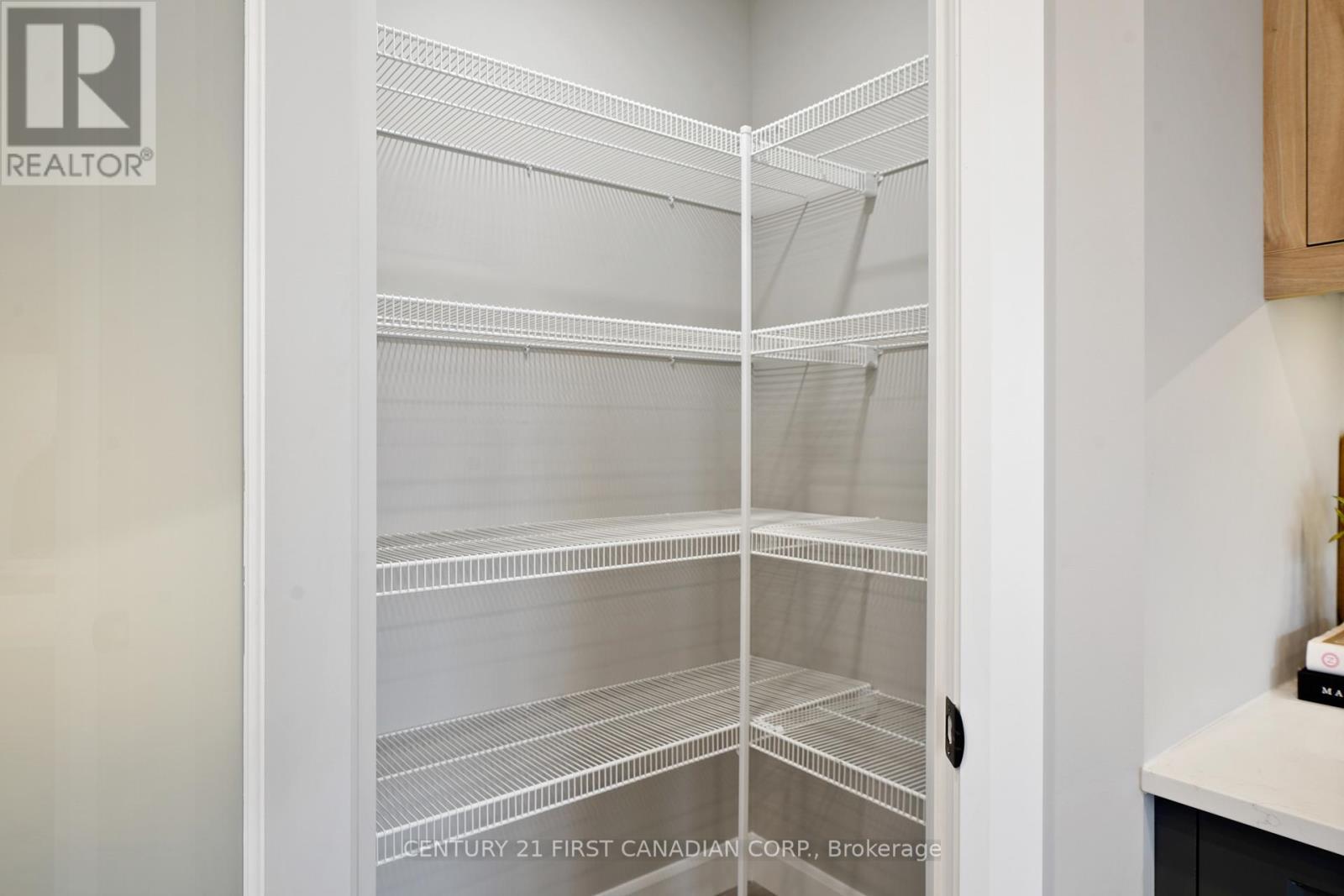 9 Twynstra Street, North Middlesex (Ailsa Craig), ON - Indoor With Storage