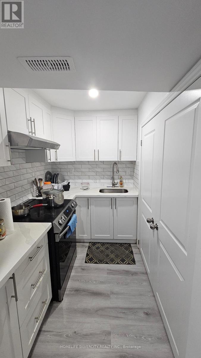 Basement - 194 Eaglecrest Street, Kitchener, ON - Indoor Photo Showing Kitchen With Upgraded Kitchen