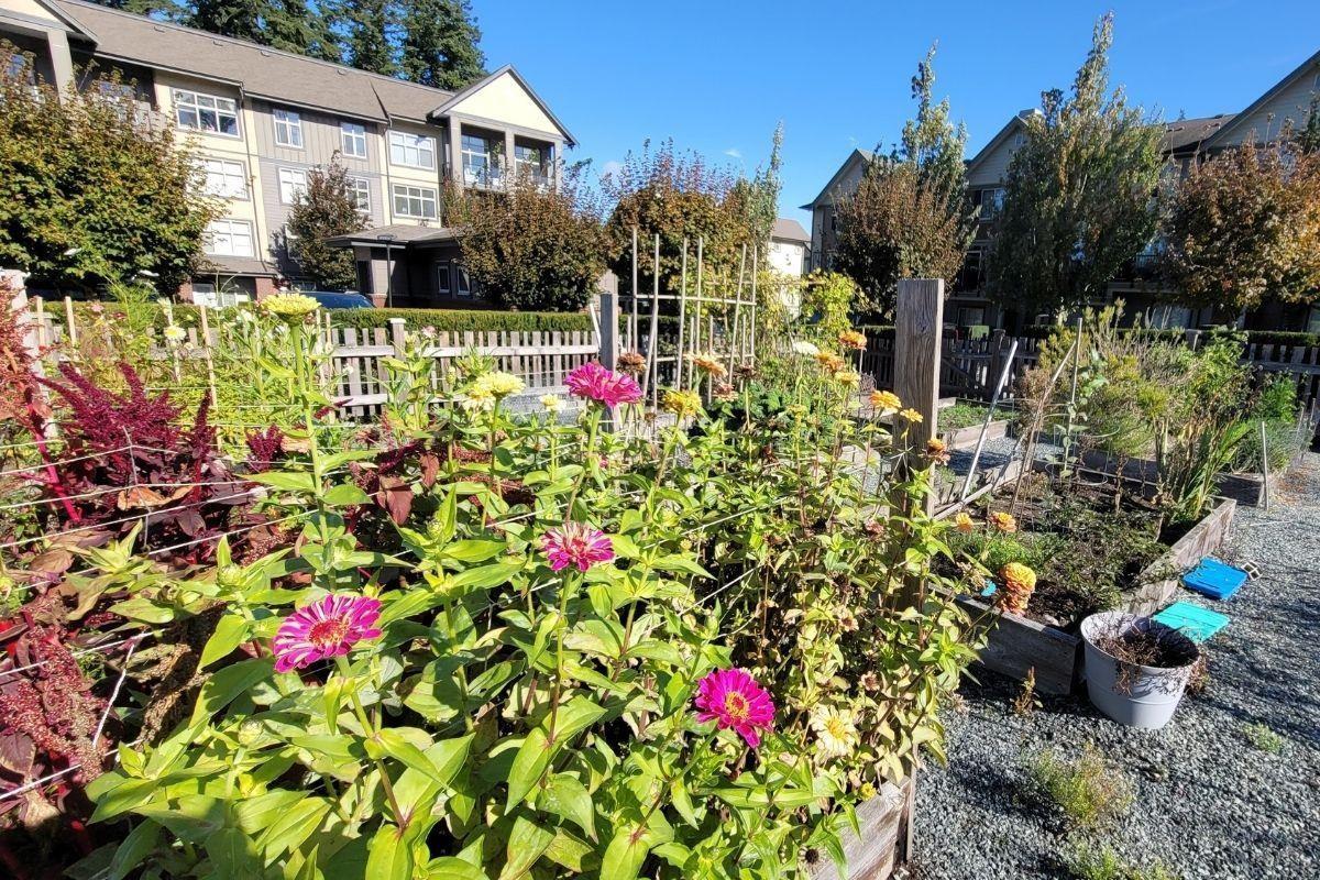 507 2855 156 Street, Surrey, BC - Outdoor