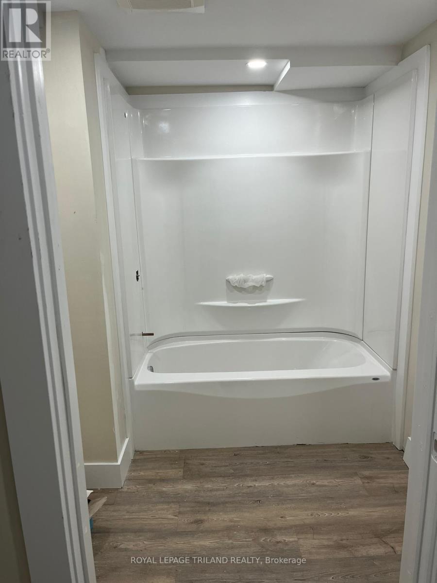 Washroom - Basement - 1072 Jalna Boulevard, London South (South X), ON - Indoor Photo Showing Bathroom