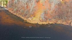 beachfront and old dock crib -