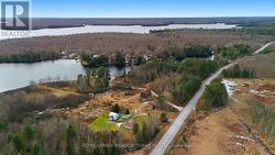 Views toward Ahmic lake -