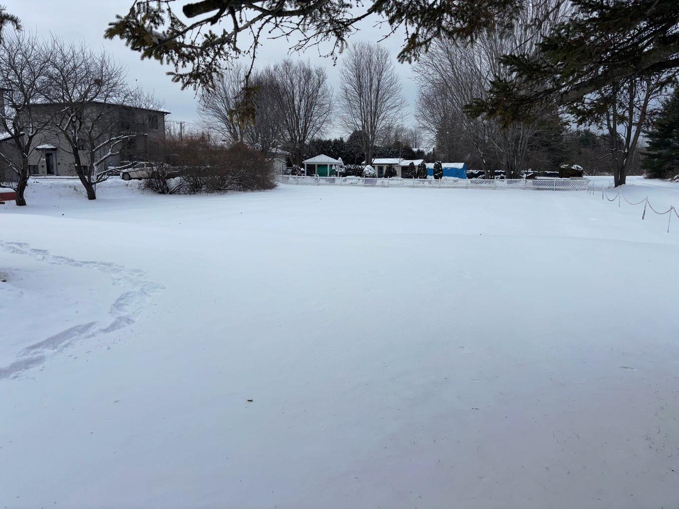 Cour - 5 Rue Aubin, Brownsburg-Chatham, QC - Outdoor With View