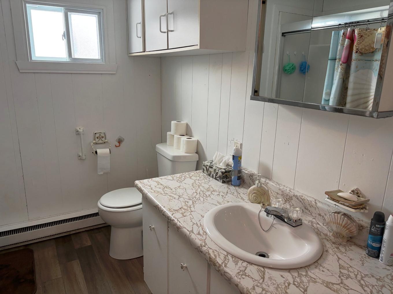 Salle de bains - 5 Rue Aubin, Brownsburg-Chatham, QC - Indoor Photo Showing Bathroom