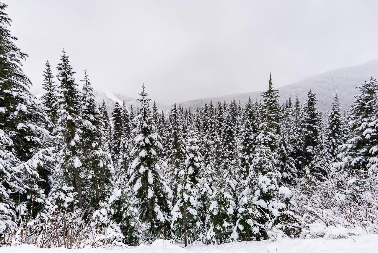 20806 Sakwi Creek Road, Mission, BC - Outdoor