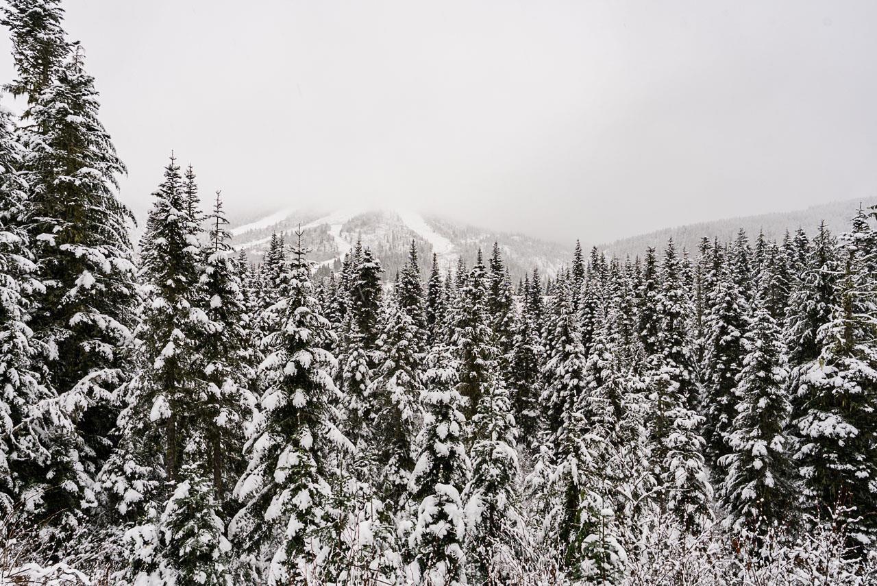 20806 Sakwi Creek Road, Mission, BC - Outdoor