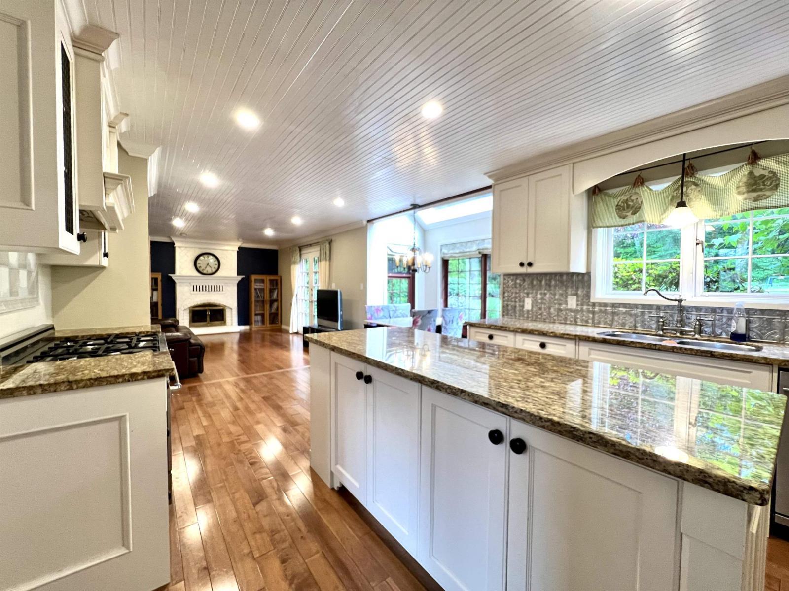 17302 29 Avenue, Surrey, BC - Indoor Photo Showing Kitchen With Double Sink