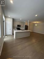 Kitchen (Brand New Appliances) -