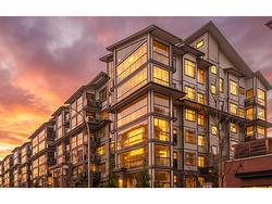 309 8561 E 203A STREET Langley, BC V2Y 3L7