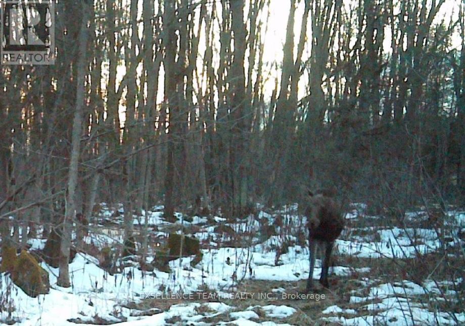 0 Raymond Road, South Stormont, ON